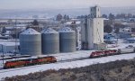 CBRW 166-CBRW 608-BNSF 8184-BNSF 4311